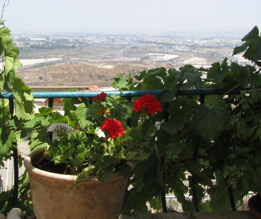 The Artist'S House Overlooking The Bay Of Haifa Ngoại thất bức ảnh