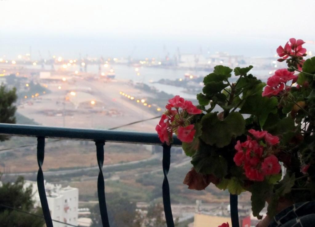 The Artist'S House Overlooking The Bay Of Haifa Ngoại thất bức ảnh